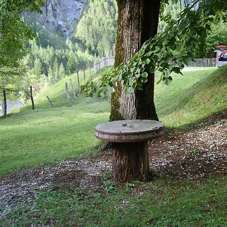 Вилла House Pod Lipo Трента Экстерьер фото