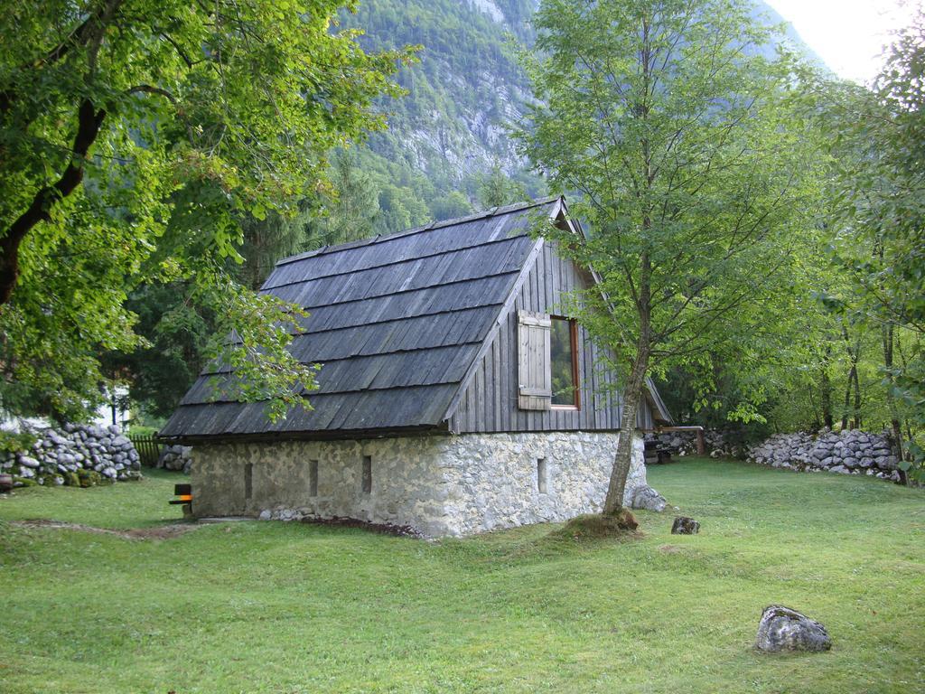 Вилла House Pod Lipo Трента Номер фото
