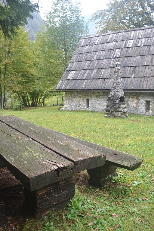 Вилла House Pod Lipo Трента Экстерьер фото
